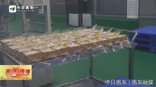 蛋鸡养殖企业跨界创新 食品加工厂与蝗虫养殖共促就业