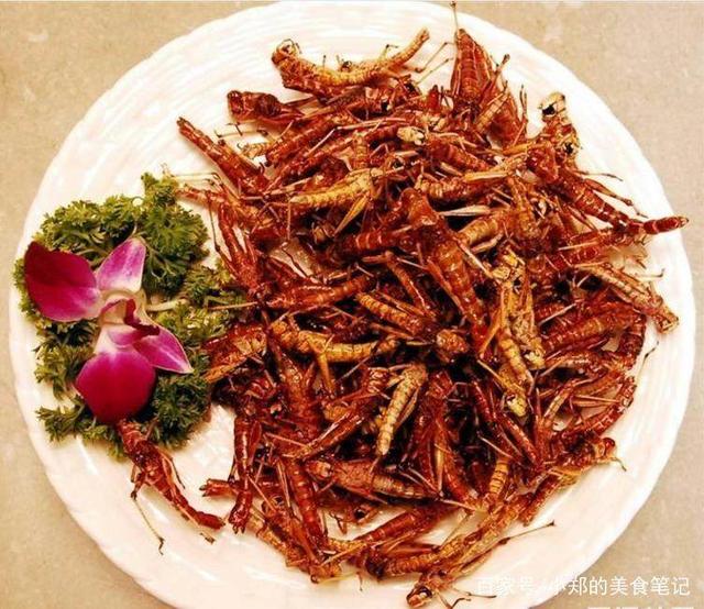 农村&ldquo;慢慢消失&rdquo;的野味,蝗虫打80分,最后一个打120分!